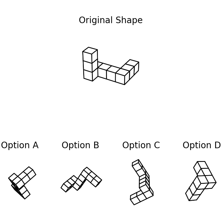 Mental Rotation Test (Hard) example
